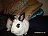 What's up doc