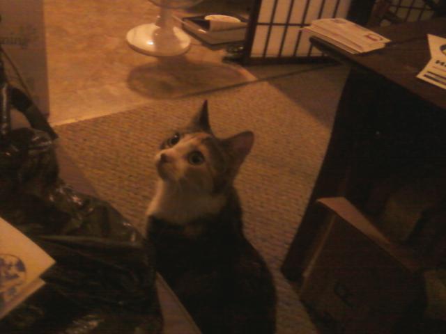 Name: Photo-0068.jpg
Views: 913
Size: 25.4 KB