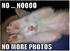 Click image for larger version. 

Name:	KITTEN.png 
Views:	110 
Size:	250.8 KB 
ID:	55214