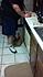 Click image for larger version. 

Name:	2012-09-26_12-08-00_76.jpg 
Views:	143 
Size:	1,011.6 KB 
ID:	55224