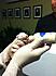 Click image for larger version. 

Name:	newborns3.jpg 
Views:	112 
Size:	83.4 KB 
ID:	55233
