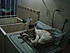 Click image for larger version. 

Name:	DSC05349.JPG 
Views:	153 
Size:	1.33 MB 
ID:	55286
