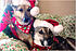 Click image for larger version. 

Name:	Cinder-and-Smoke.jpg 
Views:	246 
Size:	70.0 KB 
ID:	55739