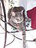 Click image for larger version. 

Name:	paw down pinot.JPG 
Views:	113 
Size:	1.60 MB 
ID:	56489