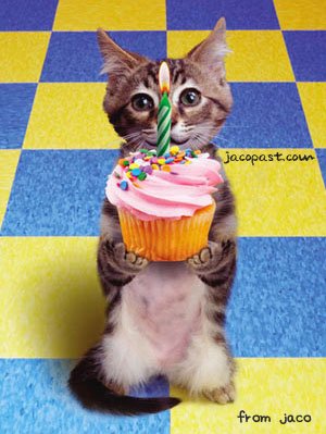 Name:  birthdayCupcakecat.jpg
Views: 1425
Size:  56.0 KB