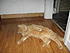 Click image for larger version. 

Name:	128.jpg 
Views:	64 
Size:	31.5 KB 
ID:	58384