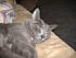 Click image for larger version. 

Name:	OK-just take it.JPG 
Views:	57 
Size:	964.6 KB 
ID:	58640