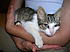 Click image for larger version. 

Name:	August 4 2007 Olive pix, Tobeynblankey 020.jpg 
Views:	83 
Size:	806.3 KB 
ID:	59498