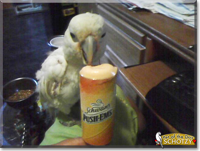 Name:  04c.jpg
Views: 291
Size:  176.6 KB