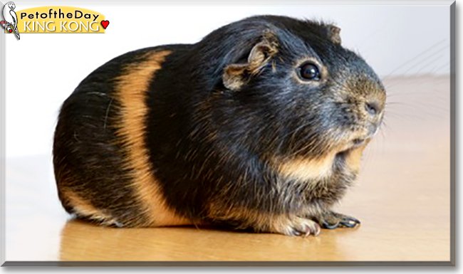 Name:  09.jpg
Views: 419
Size:  128.3 KB
