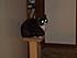 Click image for larger version. 

Name:	moneyes2.jpg 
Views:	100 
Size:	223.9 KB 
ID:	59577