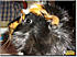 Click image for larger version. 

Name:	14.jpg 
Views:	59 
Size:	170.3 KB 
ID:	59585