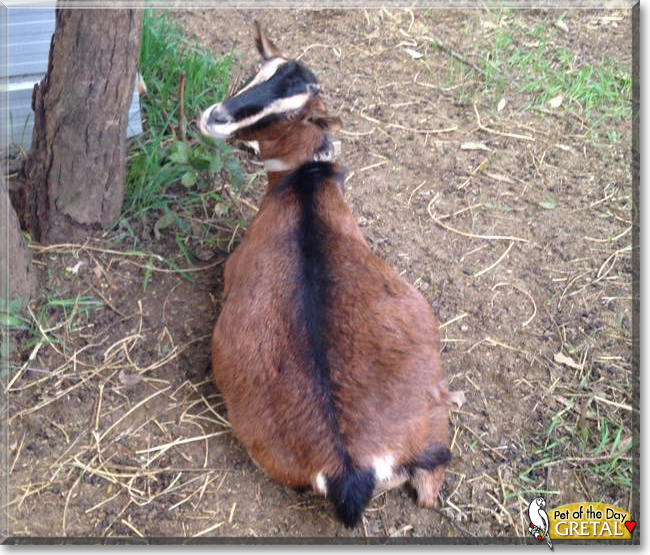 Name:  15c.jpg
Views: 237
Size:  278.2 KB