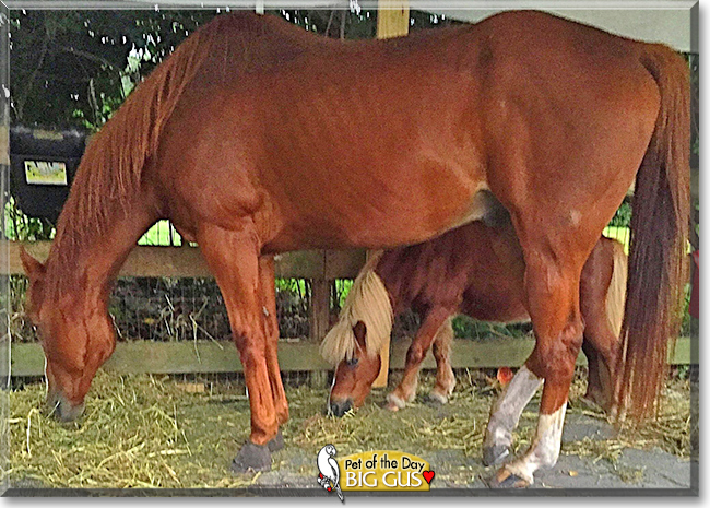 Name:  16f.jpg
Views: 250
Size:  303.4 KB