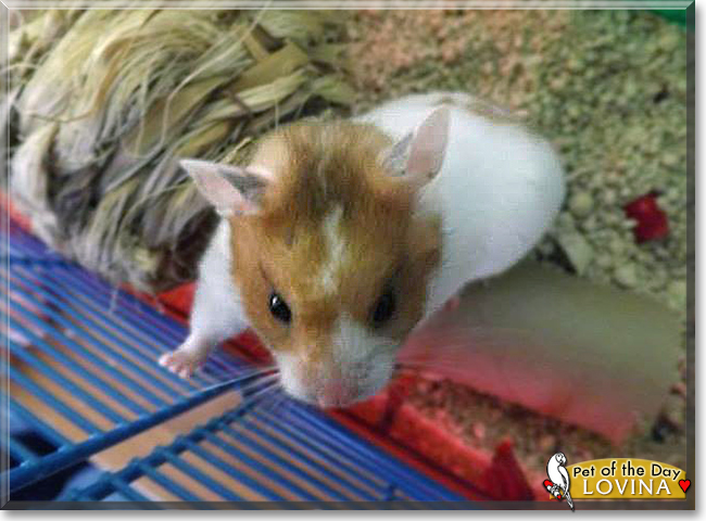 Name:  17.jpg
Views: 132
Size:  212.7 KB