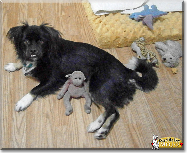 Name:  18b.jpg
Views: 181
Size:  255.6 KB