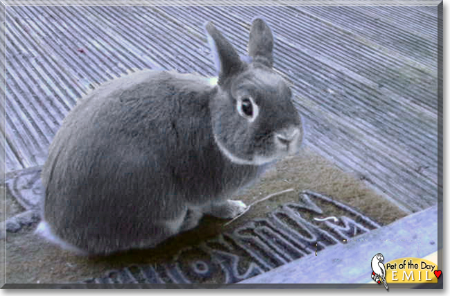 Name:  18b (1).jpg
Views: 317
Size:  194.2 KB
