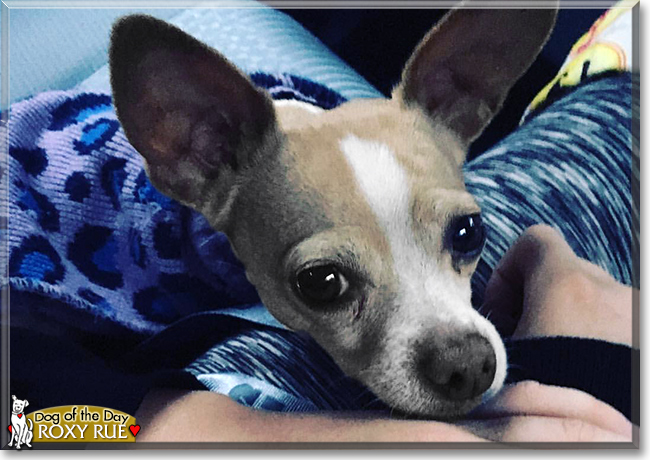 Name:  25c.jpg
Views: 248
Size:  208.3 KB