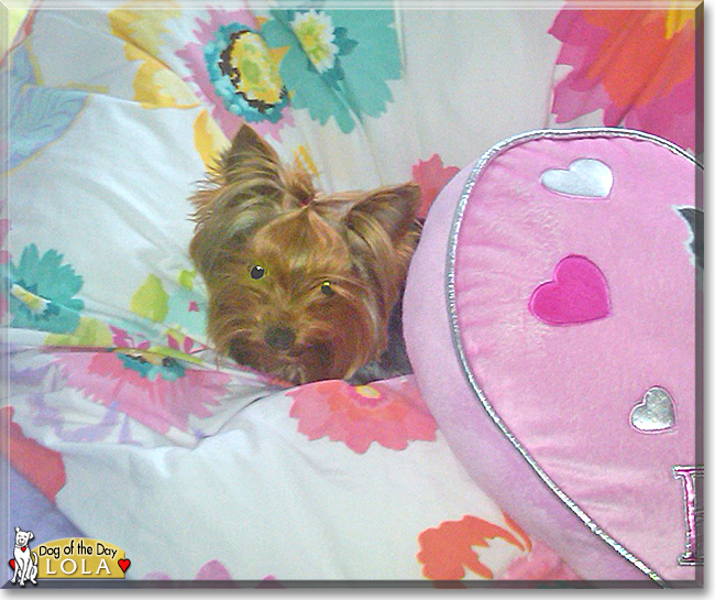 Name:  27c.jpg
Views: 240
Size:  331.7 KB