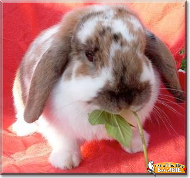 Name:  02.jpg
Views: 123
Size:  200.4 KB