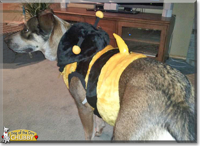 Name:  02.jpg
Views: 137
Size:  215.6 KB