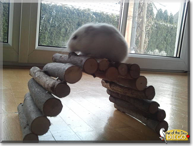 Name:  04b.jpg
Views: 110
Size:  129.3 KB