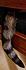 Click image for larger version. 

Name:	tail.jpg 
Views:	151 
Size:	25.6 KB 
ID:	59648