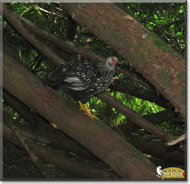 Name:  06c.jpg
Views: 146
Size:  287.7 KB