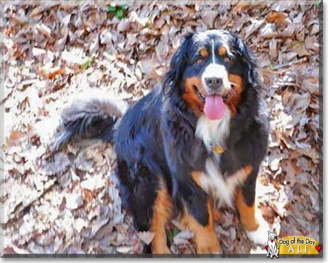 Name:  08b.jpg
Views: 234
Size:  229.5 KB