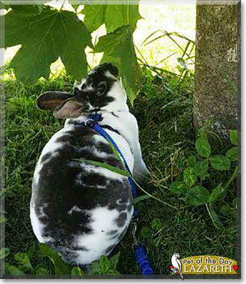 Name:  10d.jpg
Views: 143
Size:  215.2 KB