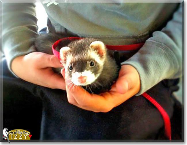 Name:  11b.jpg
Views: 133
Size:  177.5 KB