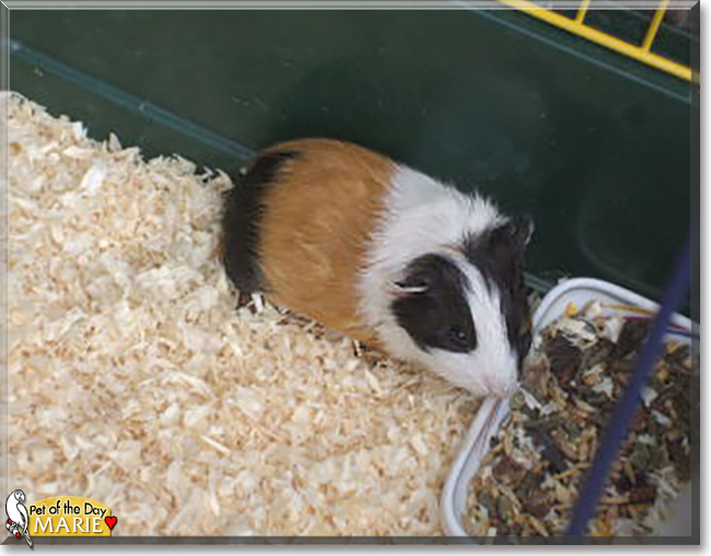 Name:  15.jpg
Views: 188
Size:  168.0 KB