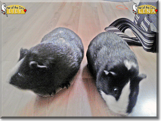 Name:  19.jpg
Views: 150
Size:  316.0 KB