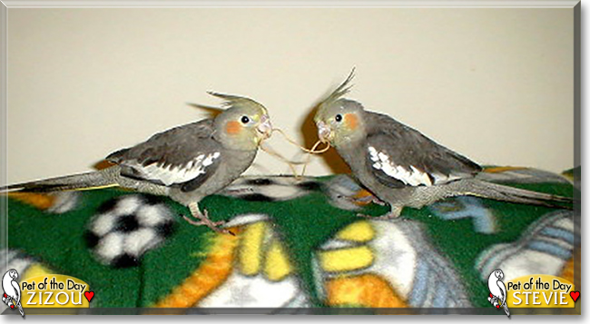 Name:  01.jpg
Views: 126
Size:  142.7 KB