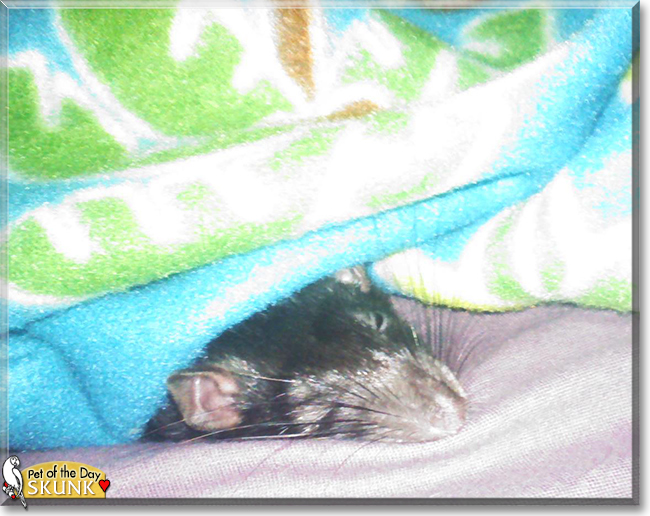 Name:  08b.jpg
Views: 173
Size:  250.3 KB