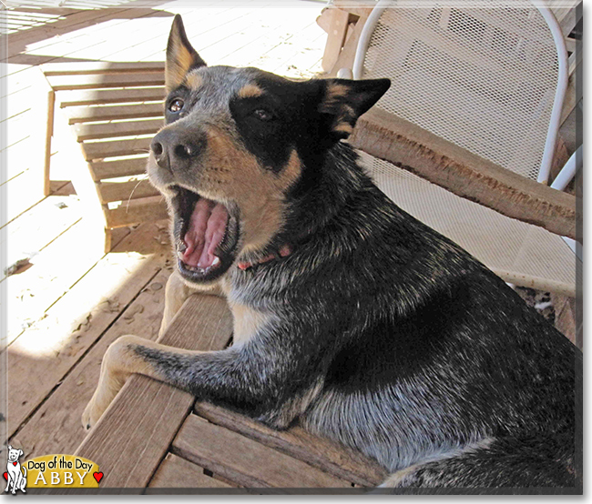 Name:  10f.jpg
Views: 292
Size:  293.7 KB