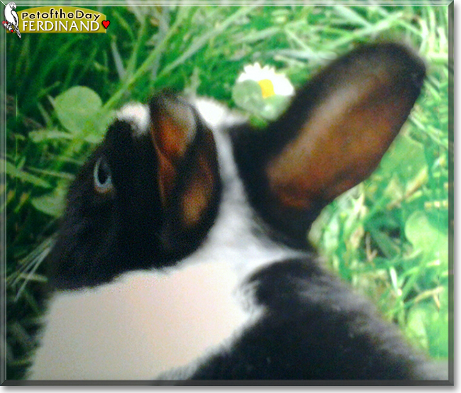 Name:  11.jpg
Views: 228
Size:  295.4 KB