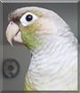 Name:  large.jpg
Views: 111
Size:  8.5 KB