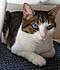 Click image for larger version. 

Name:	oliwitch.jpg 
Views:	116 
Size:	50.1 KB 
ID:	59814