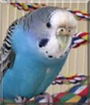 Name:  large.jpg
Views: 148
Size:  10.7 KB