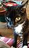 Click image for larger version. 

Name:	wilsweet.jpg 
Views:	77 
Size:	57.0 KB 
ID:	59830