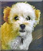 Name:  large.jpg
Views: 135
Size:  13.1 KB