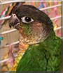 Name:  large (1).jpg
Views: 178
Size:  12.3 KB