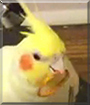 Name:  large.jpg
Views: 235
Size:  9.0 KB