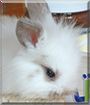 Name:  large.jpg
Views: 183
Size:  10.0 KB