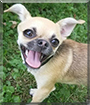 Name:  large.jpg
Views: 182
Size:  12.9 KB
