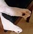Click image for larger version. 

Name:	feet.jpg 
Views:	97 
Size:	28.8 KB 
ID:	59910