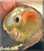 Name:  large.jpg
Views: 132
Size:  12.2 KB