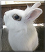 Name:  large (1).jpg
Views: 123
Size:  9.0 KB