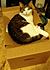Click image for larger version. 

Name:	olibox1.jpg 
Views:	66 
Size:	141.3 KB 
ID:	59984